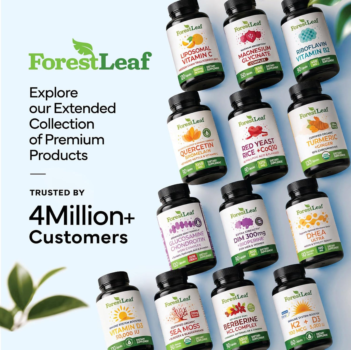 The ForestLeaf collection