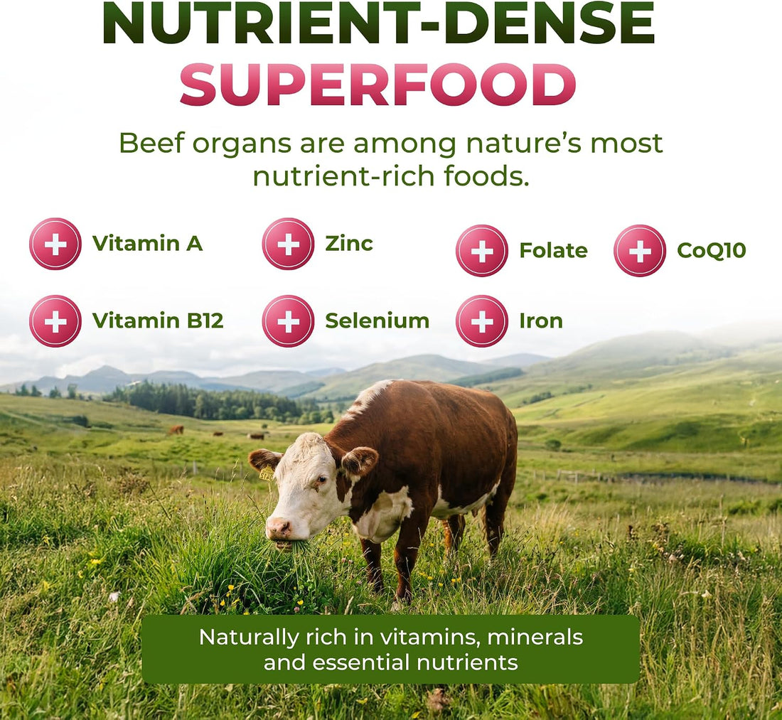 Beef Organ Supplement for Women