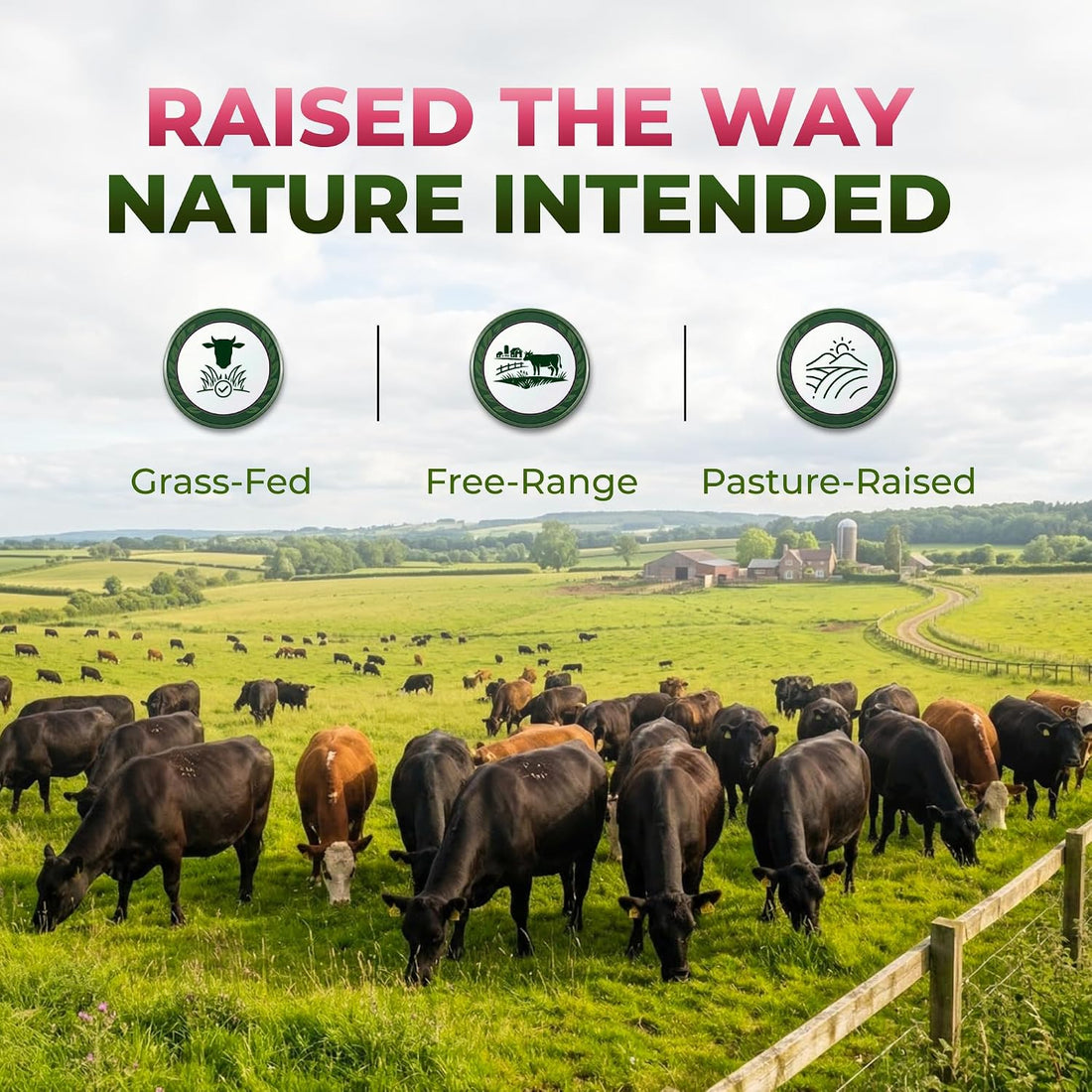 Beef Organ Supplement for Women