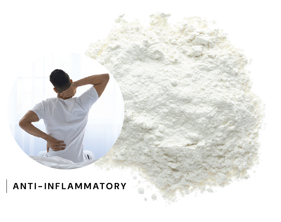 Liposomal Nicotinamide supplier Yangge Biotech Liposomal Nicotinamide supplier Yangge Biotech
